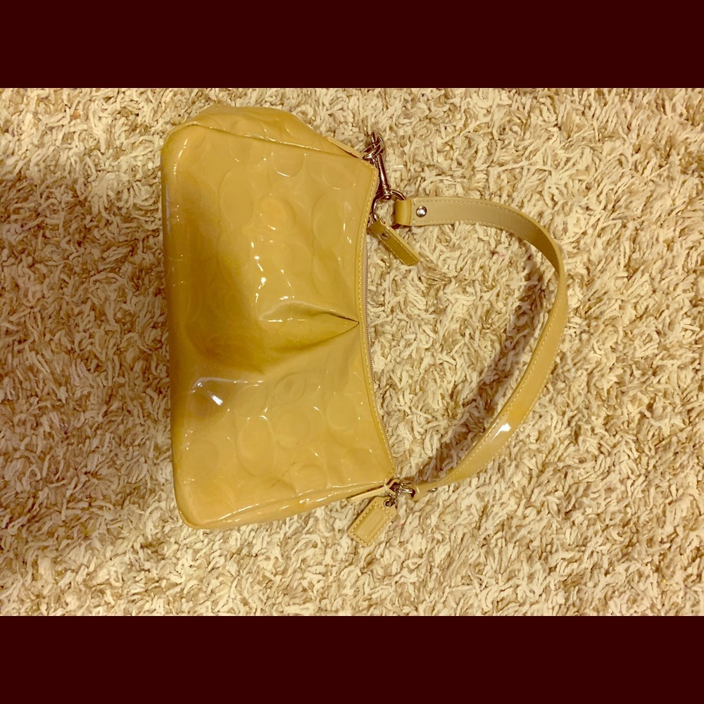 Small Coach Bag